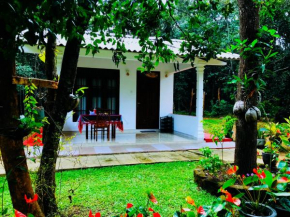Holly Flowers Villa